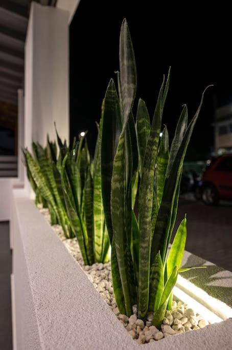 Apartament Poem Miasto Kos Zewnętrze zdjęcie